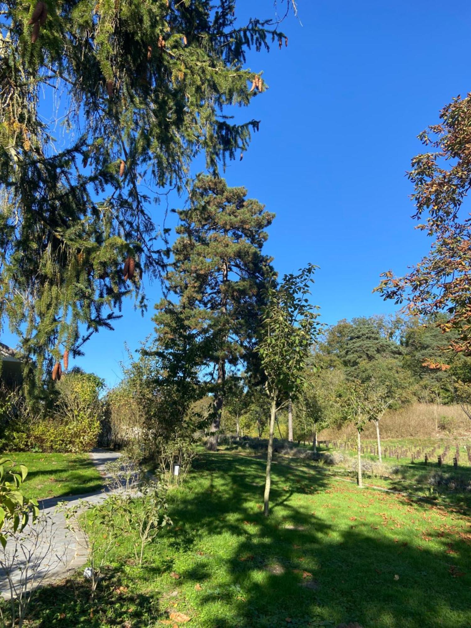Chateau De Fere Luaran gambar